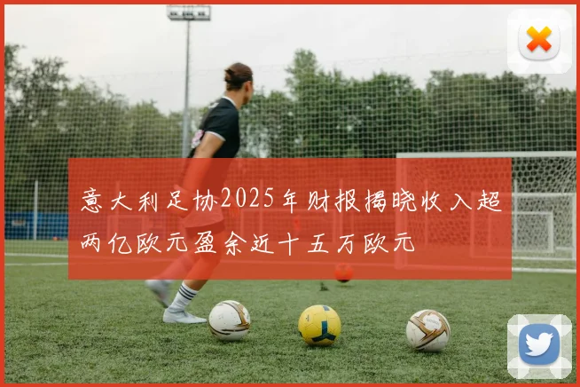 意大利足协2025年财报揭晓收入超两亿欧元盈余近十五万欧元